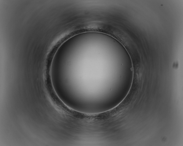X0000093570728200710151127