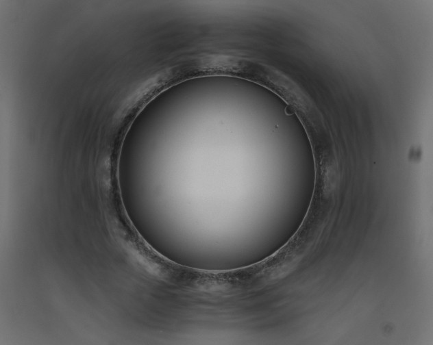 X0000093570729200710151127