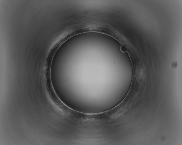 X0000093570730200710151127