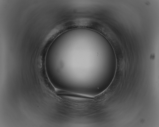 X0000093570731200710151127