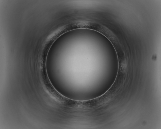 X0000093570732200710151127
