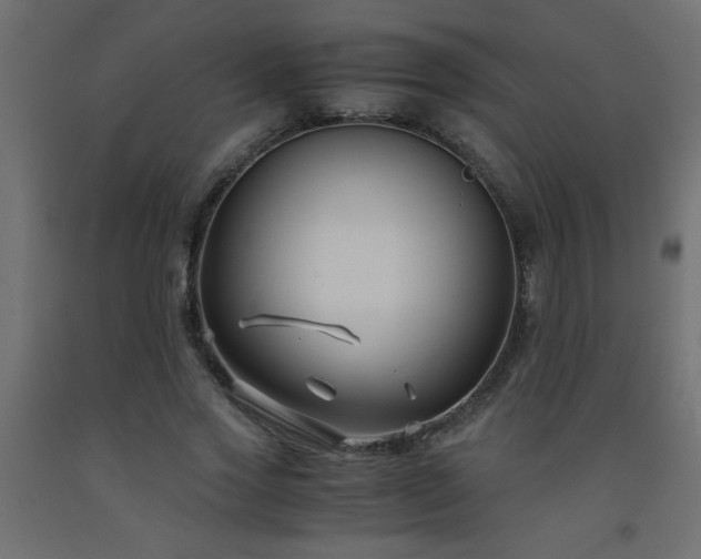 X0000093570733200710151127
