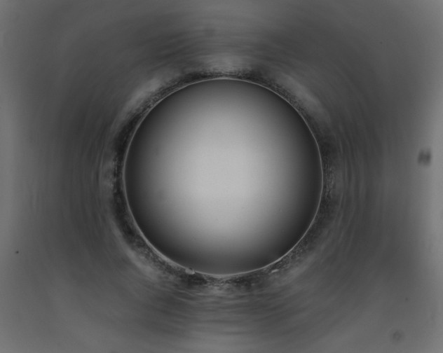 X0000093570736200710151127