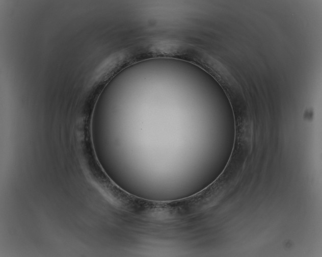 X0000093570738200710151127