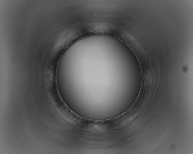 X0000093570739200710151127