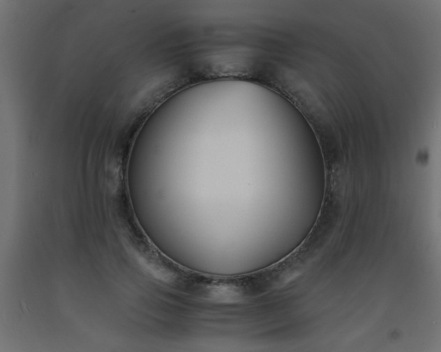 X0000093570741200710151127