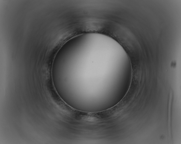 X0000093570743200710151127