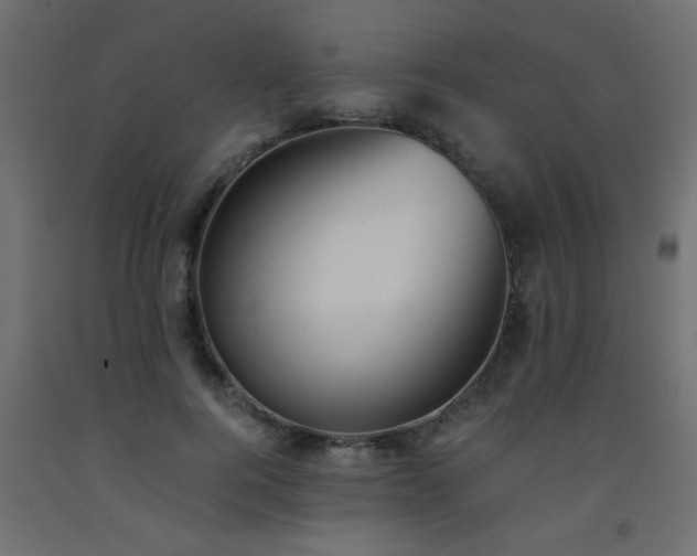 X0000093570744200710151127