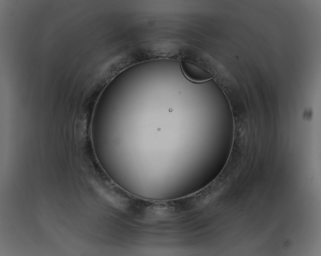 X0000093570745200710151127
