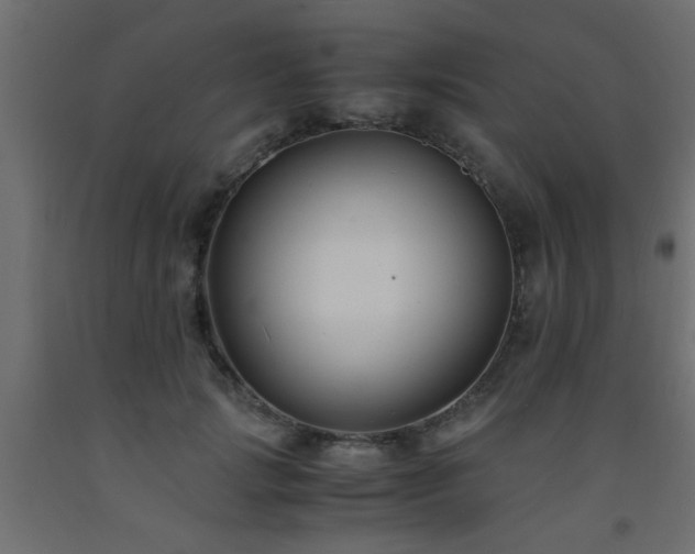X0000093570749200710151127