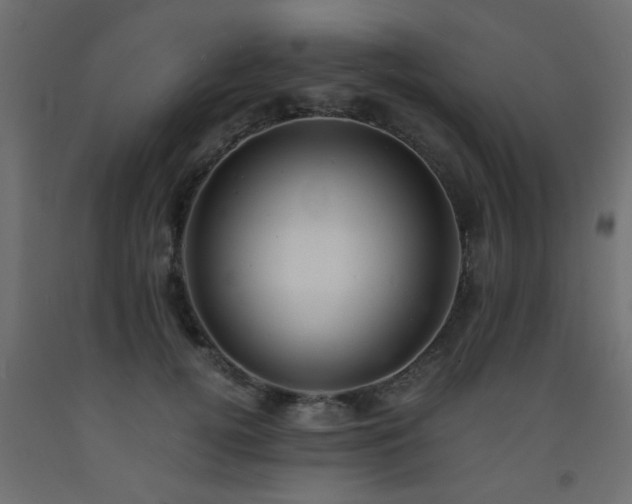 X0000093570752200710151127