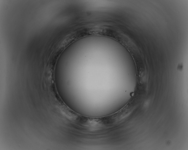 X0000093570753200710151127
