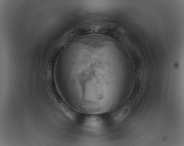 X0000093570754200710151127