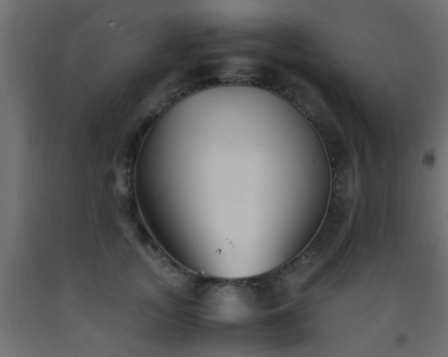 X0000093570755200710151127