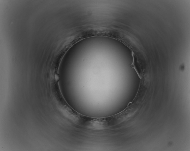X0000093570756200710151127