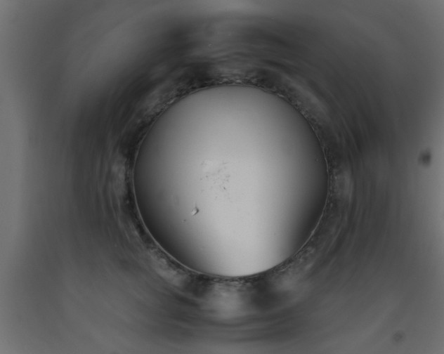 X0000093570757200710151127