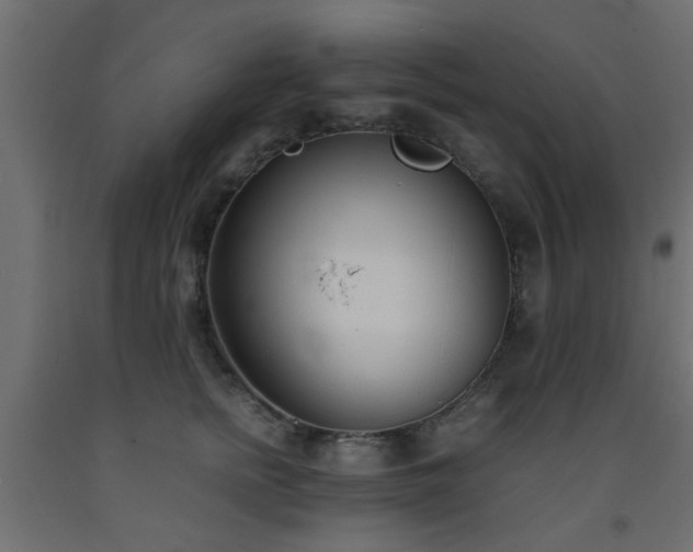 X0000093570758200710151127