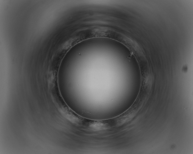 X0000093570759200710151127