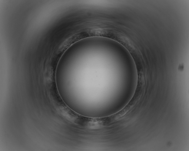 X0000093570760200710151127