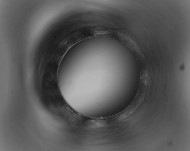 X0000093570763200710151127