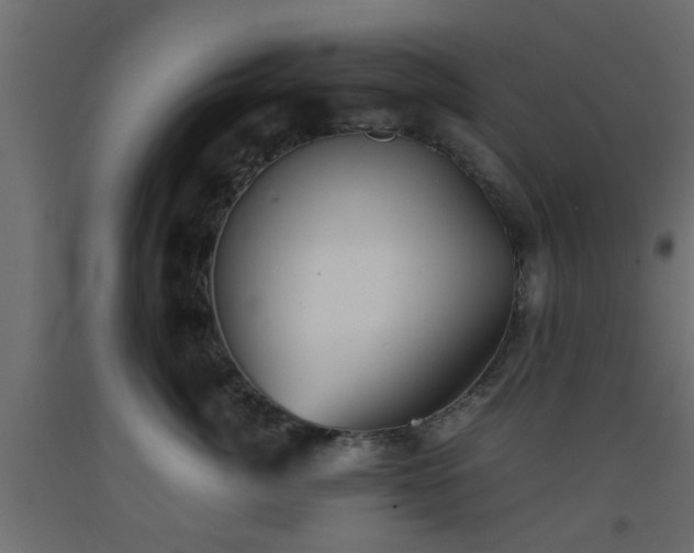 X0000093570764200710151127