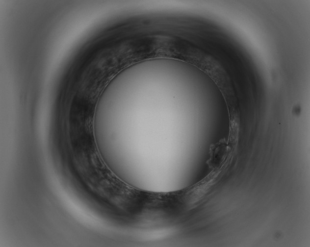 X0000093570765200710151127