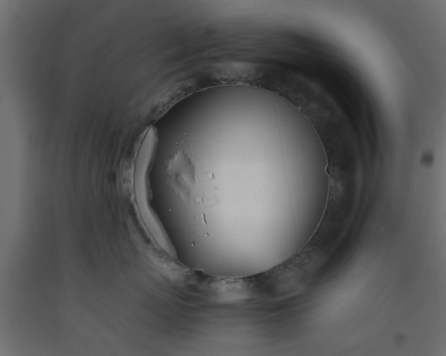 X0000093570767200710151127