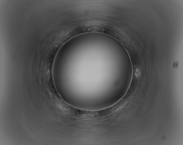 X0000093570771200710151127