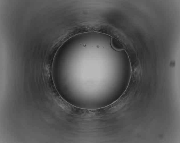 X0000093570772200710151127