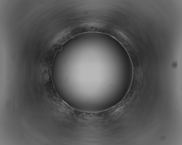 X0000093570774200710151127