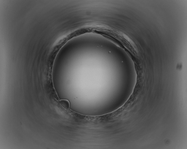 X0000093570775200710151127