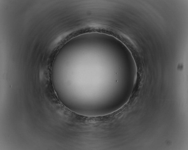 X0000093570776200710151127