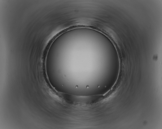 X0000093570779200710151127