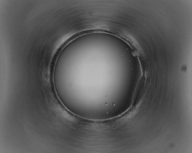 X0000093570780200710151127
