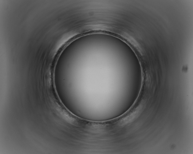 X0000093570782200710151127