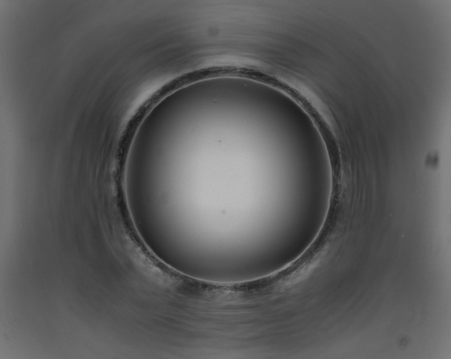 X0000093570783200710151127