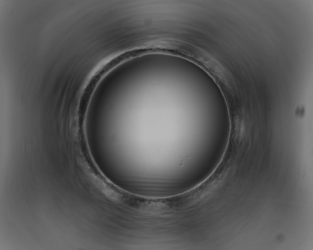 X0000093570784200710151127