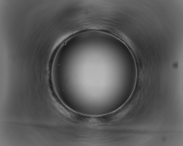X0000093570787200710151127