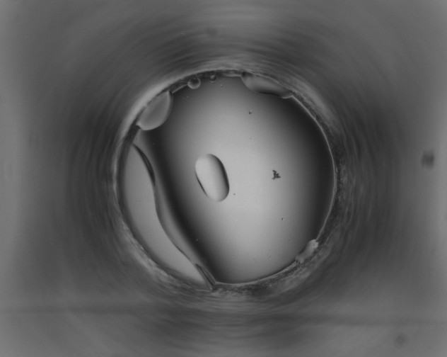 X0000093570788200710151127