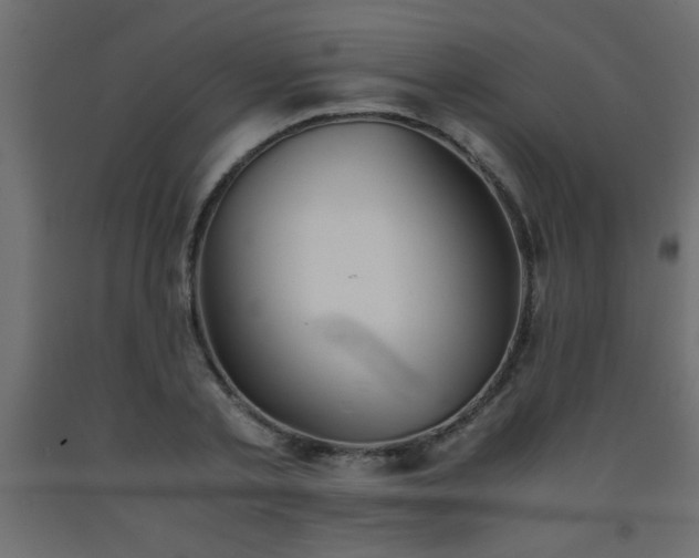X0000093570789200710151127