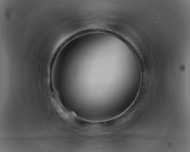 X0000093570791200710151127