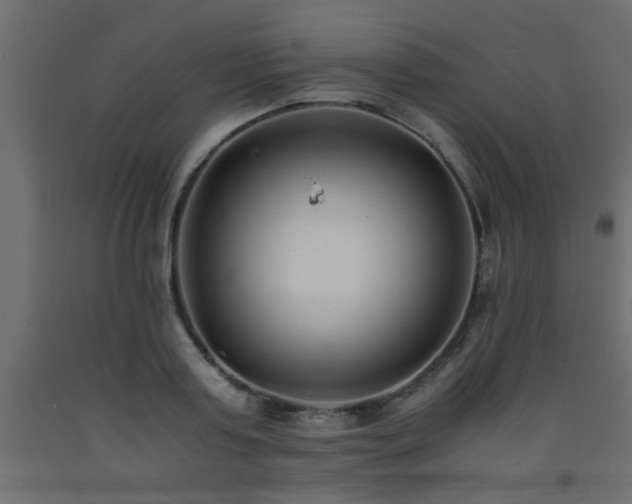 X0000093570795200710151126