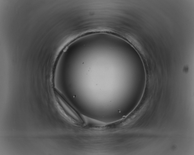 X0000093570797200710151126