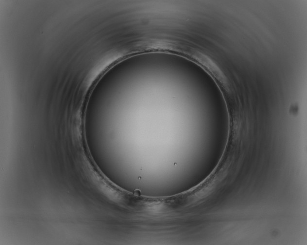 X0000093570798200710151126