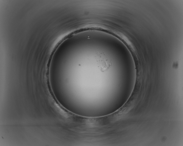 X0000093570799200710151126