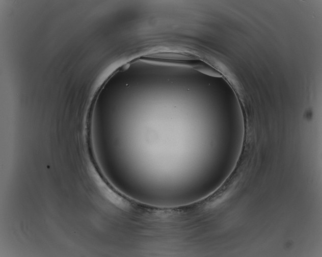X0000093570803200710151126