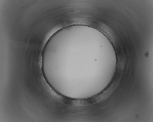 X0000093570804200710151126