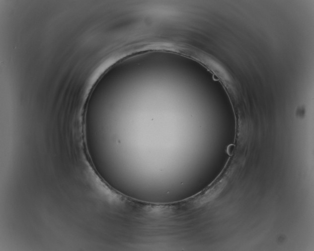 X0000093570808200710151126