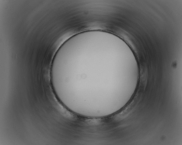 X0000093570810200710151126