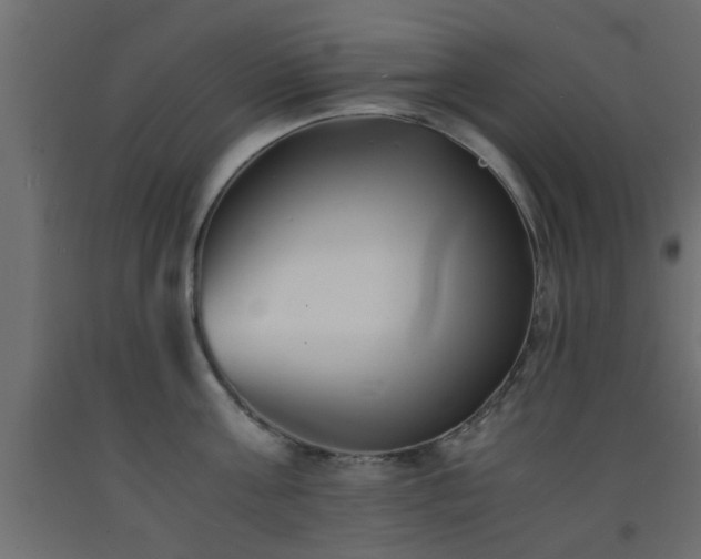 X0000093570811200710151126